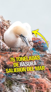 Retiran 76 toneladas de basura en la isla griega de Ítaca