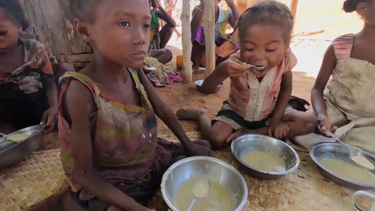 WFP "세계 4천100만명 기아 상태...60억 달러 규모 긴급 지원 필요" / YTN