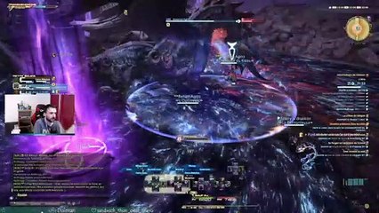 La fin de Nidhogg ( Final Fantasy XIV )