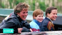 Prince Harry Mentions Prince William In Princess Diana Awards Speech