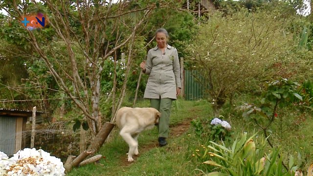 mqn-Visitamos la montaña milagrosa de doña Julia -300621