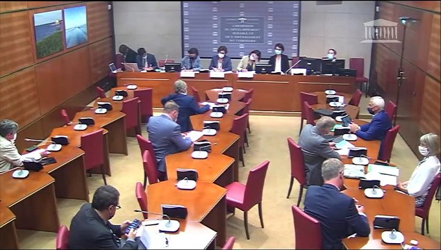 Commission du développement durable : Conclusions de la mission « flash » visant à comparer les expériences européennes de zones à faibles émissions mobilité - Mardi 29 juin 2021