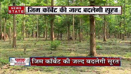 Uttarakhand: जिम कॉर्बेट में जल्द ही सफारी का आनंद ले सकेंगे लोग, देखें रिपोर्ट