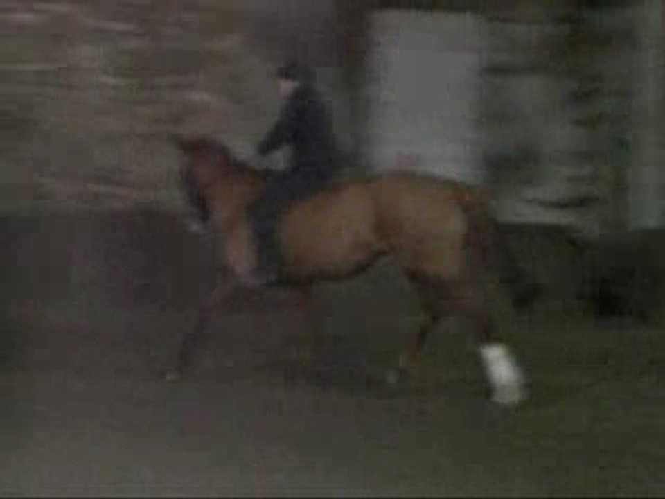 Sophie & Guiness [A cru]