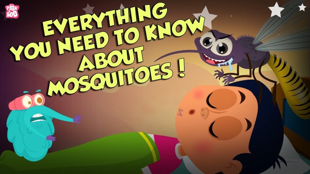 Everything About Mosquitoes | Zika Virus | The Dr Binocs Show | Peekaboo Kidz