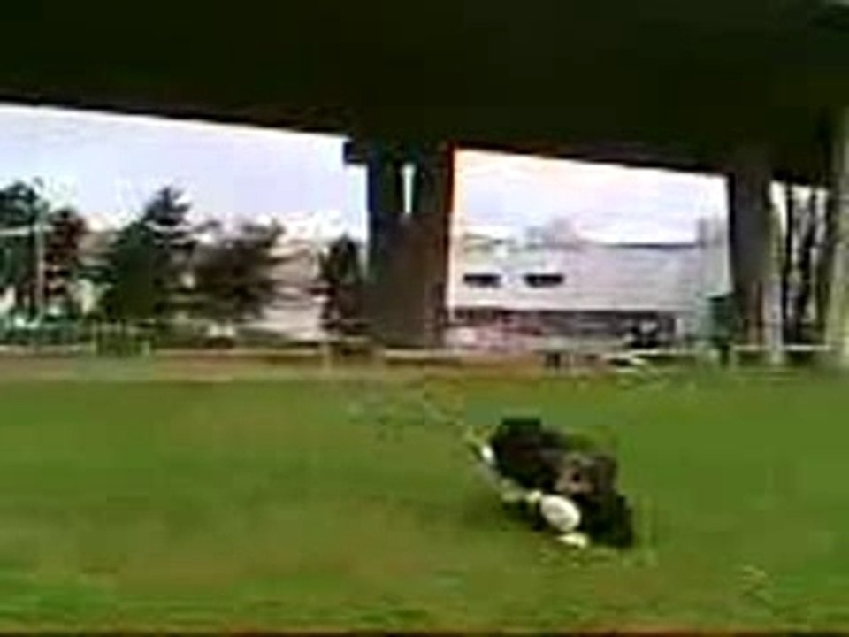 BULDOZER Vs ROMAIN