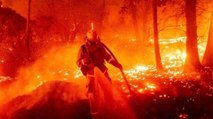 Heat Wave in USA, 12 dies, forest caught fire in Nevada