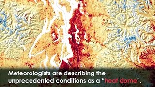 Dozens of People Die After 'HEAT DOME' Triggers Record-Breaking Temperatures in Canada and US