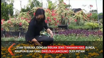 Aman Wisata dan Belanja di Mal Bunga Kota Batu