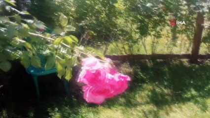 Emet Termal Otel, yeni dönemde hizmet vermeye başladı