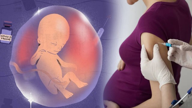 Covid-19 Vaccines Are Safe For Pregnant women & Lactating mothers Says Dr VK Paul | Oneindia Telugu