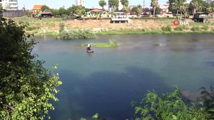 Sıcaktan bunalan atı nehirde böyle serinlettiler