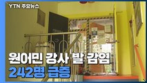 원어민 강사 발 감염 242명...산발적 집단감염 늘어 / YTN