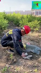 Funny Video 2021 , Fail and Stupid people , tik tok video