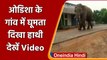 Viral Video: Odisha के एक गांव में घूमता दिखा जंगली हाथी, Video हो रहा Viral । वनइंडिया हिंदी