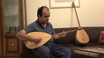 İran'da görme engelli sanatçı 50'nin üzerinde müzik aleti çalıyor