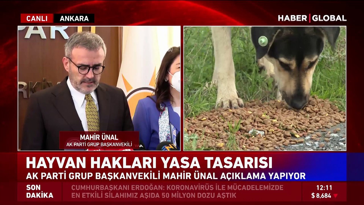 AK Parti'den hayvan hakları yasa tasarısı açıklaması