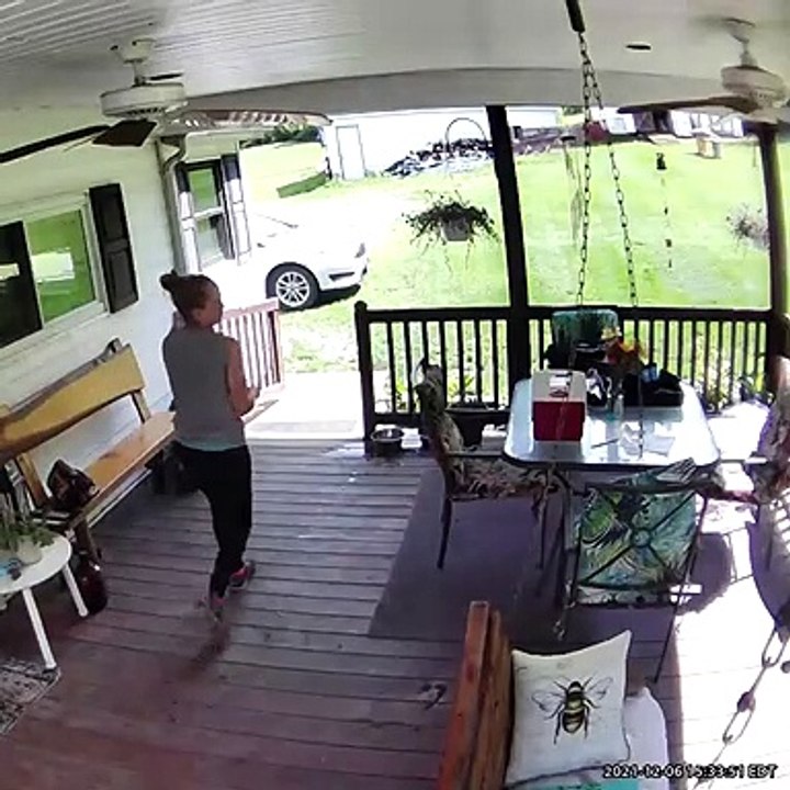 Excited Dogs Knock Down Unsuspecting Owner