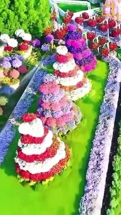Very sweet song , garden