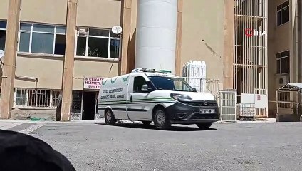 Sivas’ta kene can aldı, ölüm 12’e yükseldi