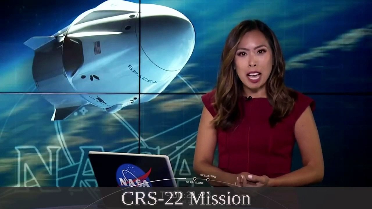 J'ai regardé "24h dans un manga café au Japon (peut-on y vi | Tev - Ici Japon" et d'autres vidéos