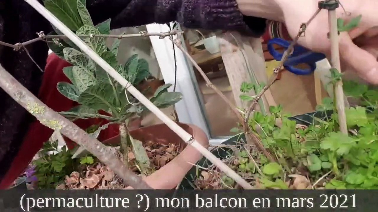 J'ai regardé "【ayumu】INSTAGRAM BASS COMPILATION 2020 ＋TAB | ayumu" et d'autres vidéos