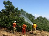 Son dakika: Bingöl'deki orman yangını söndürüldü, soğutma çalışmaları sürüyor