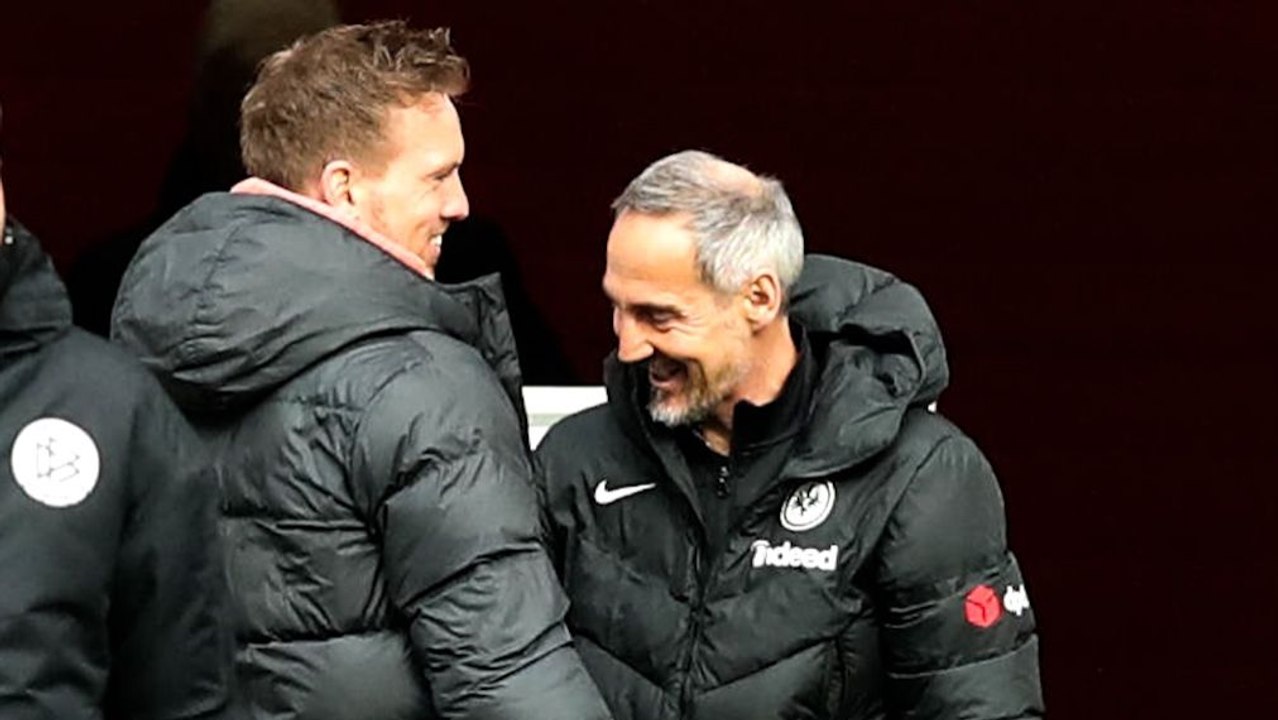 'Die Trainer schaden dem Ruf einer ganzen Branche'