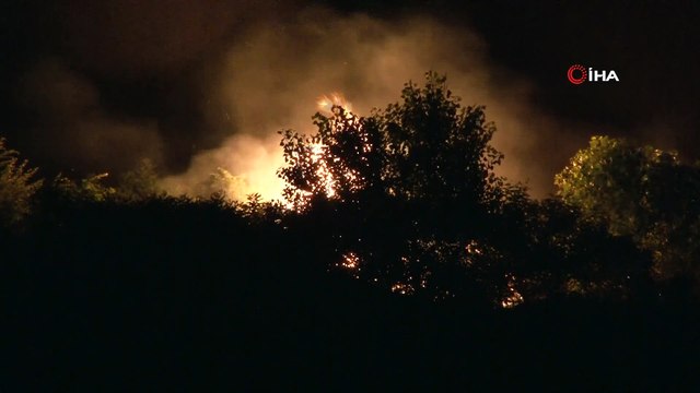 Meriç Nehri'ndeki adada çıkan yangında ağaçlar zarar gördü