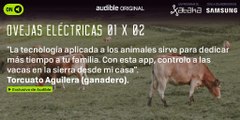 Cambié los cencerros de mis vacas por collares con GPS y ahora puedo pasar más tiempo con mi hijo (Ovejas Eléctricas 1x02, teaser con Torcuato Aguilera)