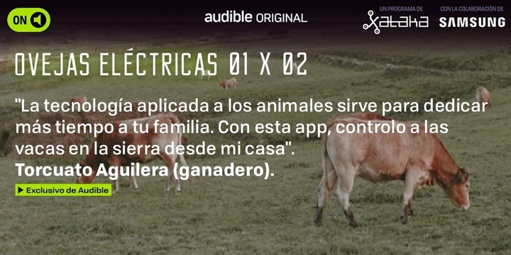 Cambié los cencerros de mis vacas por collares con GPS y ahora puedo pasar más tiempo con mi hijo (Ovejas Eléctricas 1x02, teaser con Torcuato Aguilera)