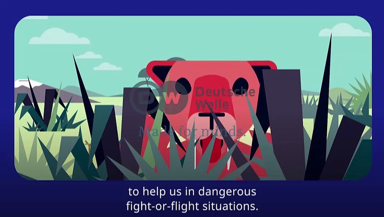 Risk Factor Stress | Time to fight back