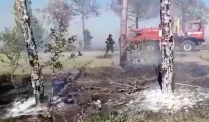 Molinella (BO) - Incendio di vegetazione (01.07.21)