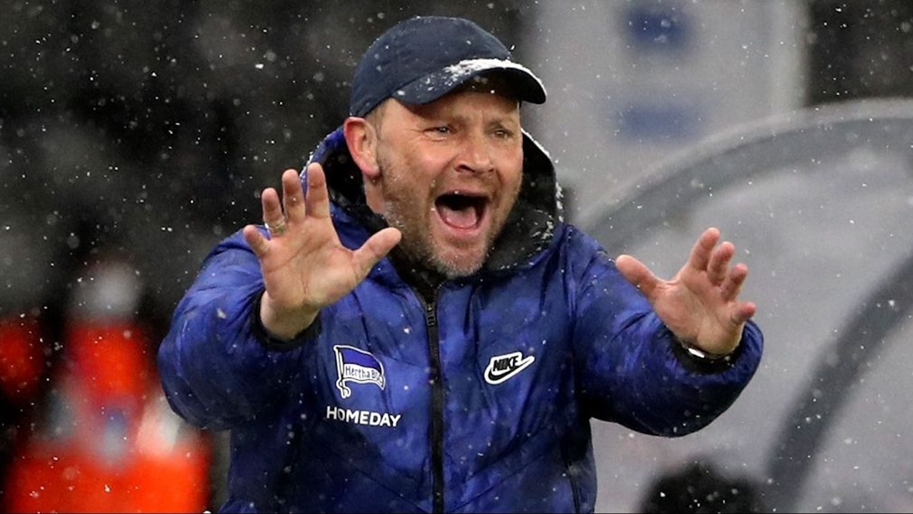 Dardai: 'Wir haben null Komma null Druck'