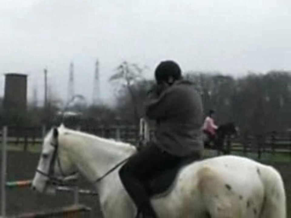 CIMG0384