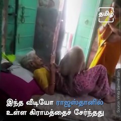 This Cute Video Of Monkey Hugging A Dadi Goes Viral