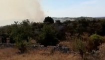Ostuni (BR) - Incendio boschivo in località San Biagio (01.07.21)