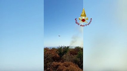 OSTUNI (BR) - INCENDIO BOSCHIVO CANADAIR E SQUADRE SCHIERATI A PROTEZIONE DI ALCUNE MASSERIE