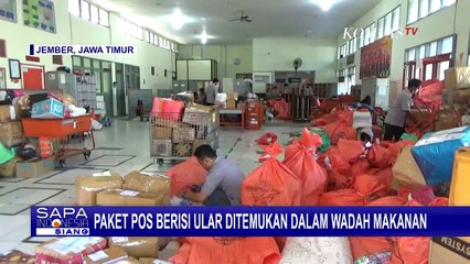 Geger Paket Berisi Ular Ditemukan dalam Wadah Makanan