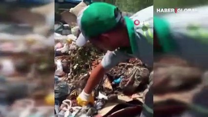 Çöpe atılan kedi yavrusunu temizlik personelleri kurtardı