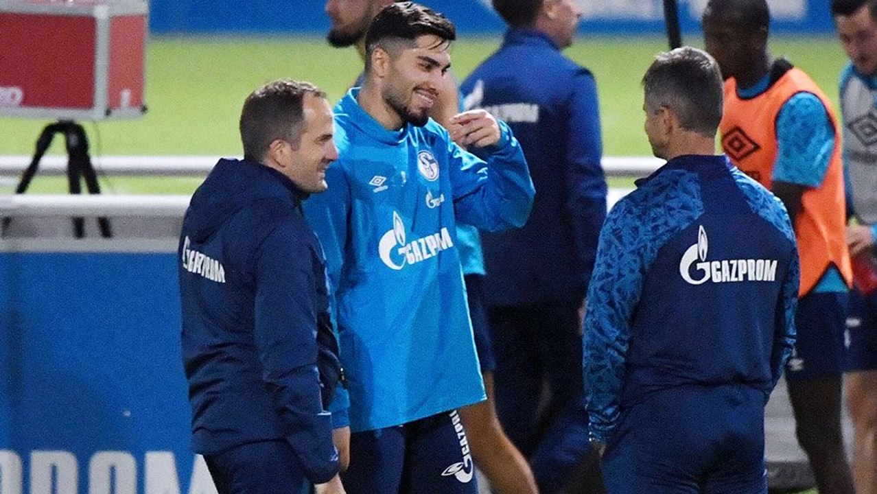 Torwartfrage und Serdars 'Zwillingsbruder': Schalke vor Wolfsburg