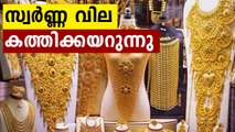 Today's Gold Rate in Kerala | Oneindia Malayalam