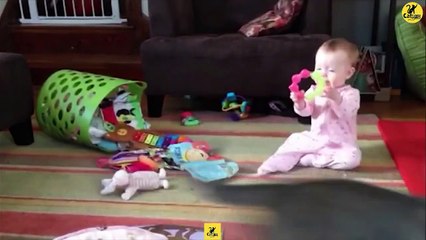 Cats | Funny & Cute Cats | Cats PRO | Cats Video compilation 05