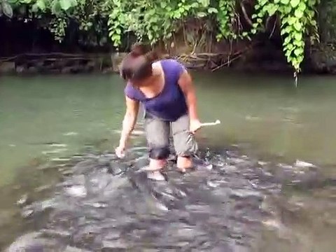 Mettre les pieds dans un banc de poisson... Attention aux chatouilles
