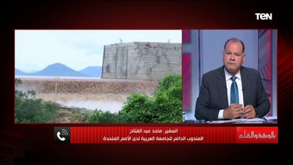 ماذا لو فشلت المفاوضات حول سد النهضة.. مندوب الجامعة العربية لدى الأمم المتحدة يوضح كيف سيكون الوضع