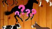 Wrong Head Horse | Animal Wrong Head |Wrong Head Shadow Matching Game |What Is This Animal?