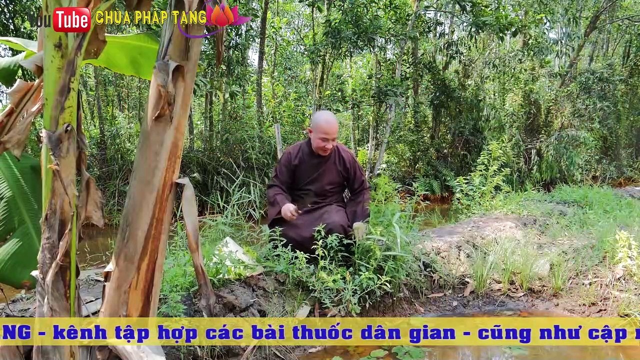 Kinh Nghiệm Chữa Đau Thắt Lưng, Đau Vai Gáy Hiệu Quả Từ Dân Gian. Gs. Lương Y. Thầy Thích Trí Huệ