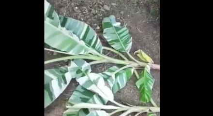 เรื่องพลบค่ำ ช่วงที่ 4 วันพฤหัสบดีที่ 1 ก.ค.64