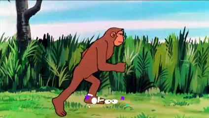 Okoo- Il était une fois l'homme-Bande Annonce