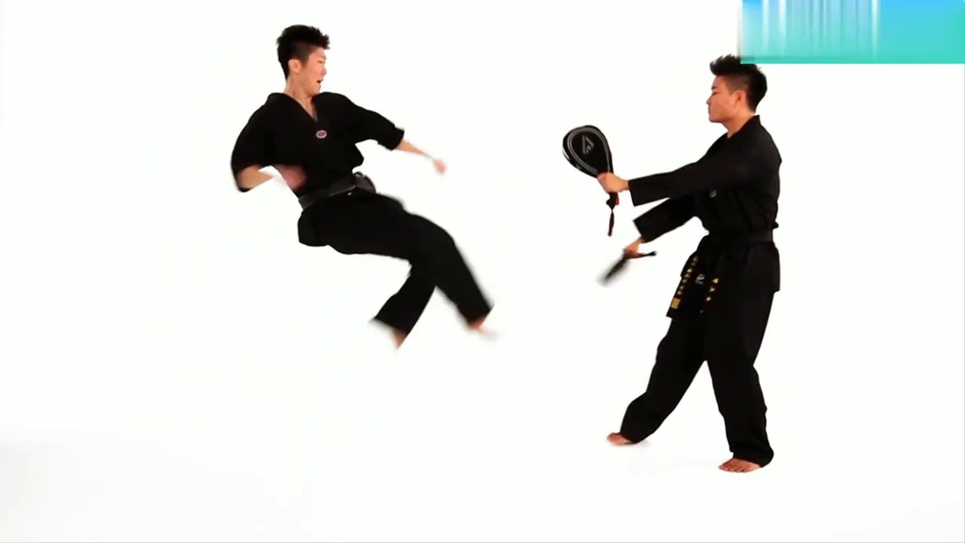 Taekwondo Roundhouse Kick